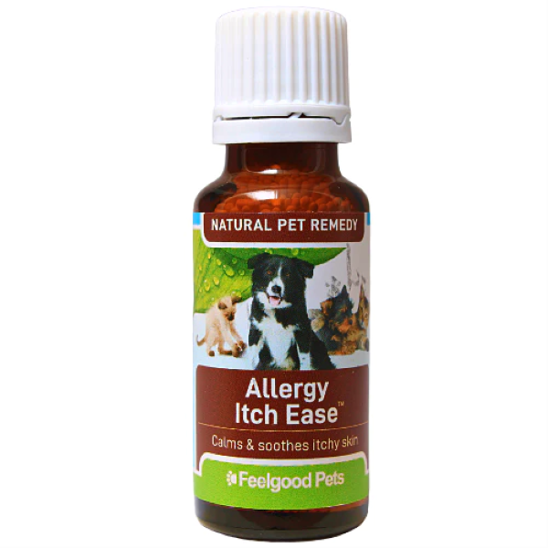 10 Allergy Facts To Ease Body Aches