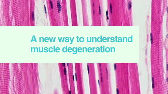 10+ Dmd Definitions For Better Understanding 10+ Dmd Definitions For Better Understanding