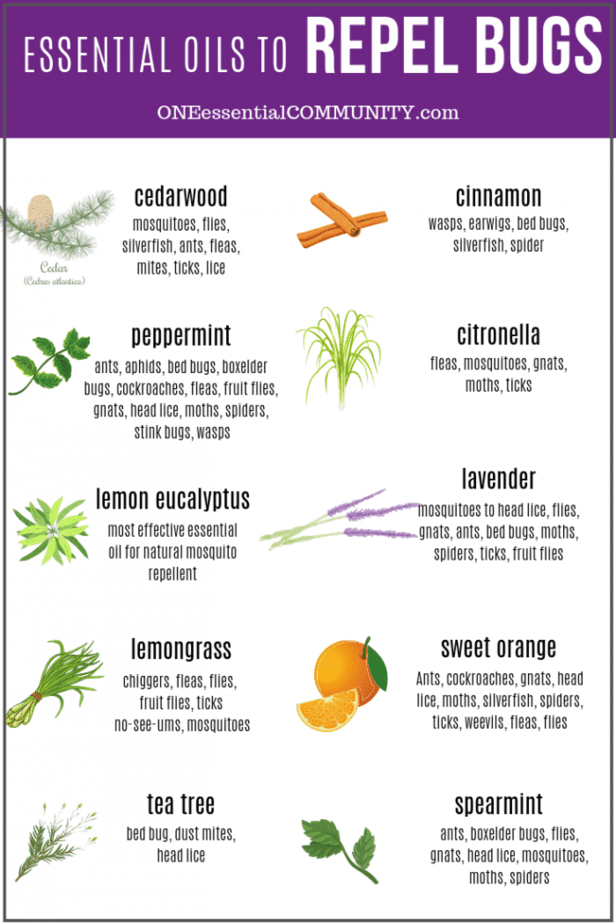 10 Essential Oils For Boils Relief