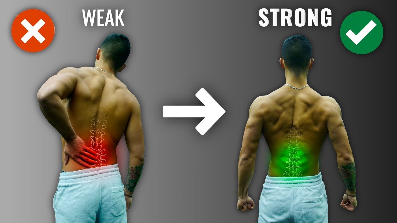 10+ Fitness Ball Tips To Strengthen Back Muscles