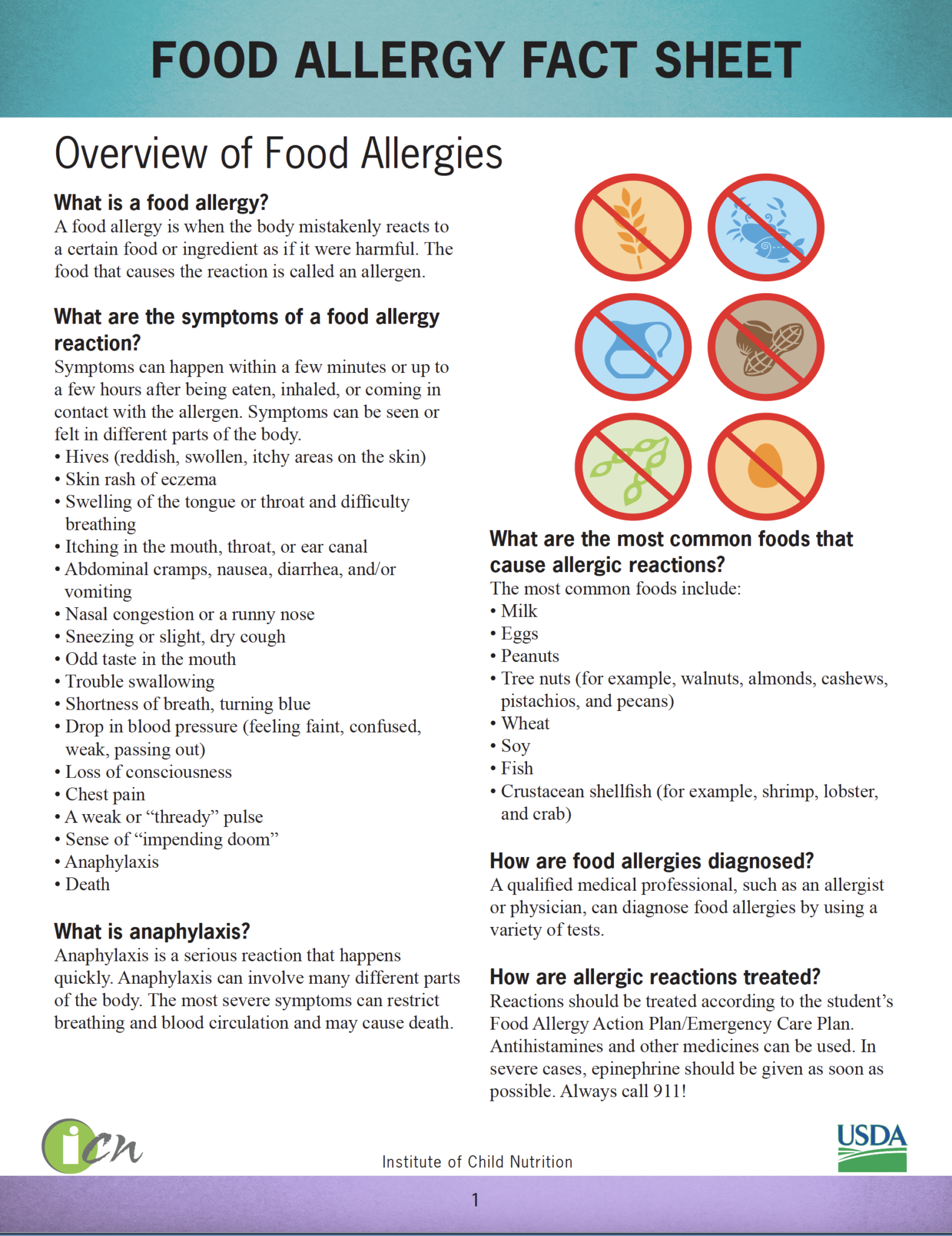 10+ Food Allergy Images For Easy Identification 10+ Food Allergy Images For Easy Identification