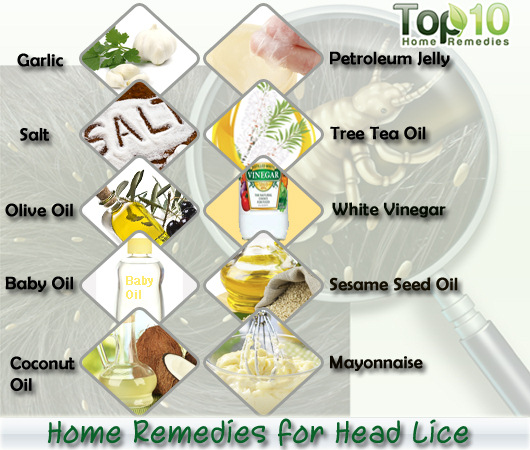 10 Head Lice Remedies With Dog Shampoo Fast