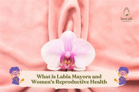 10 Labia Facts For Better Health