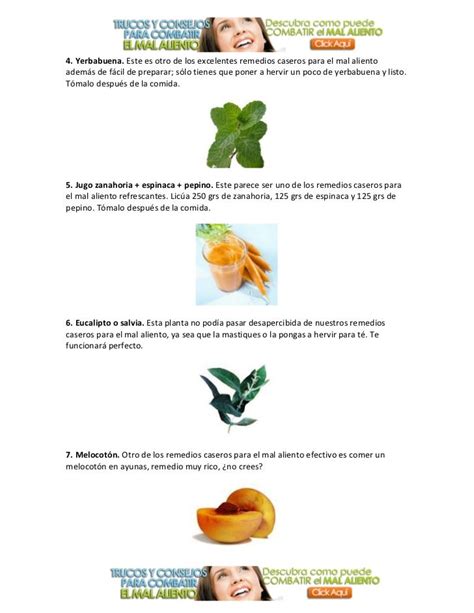 10 Mal Aliento Estómago Sucio Remedios Naturales