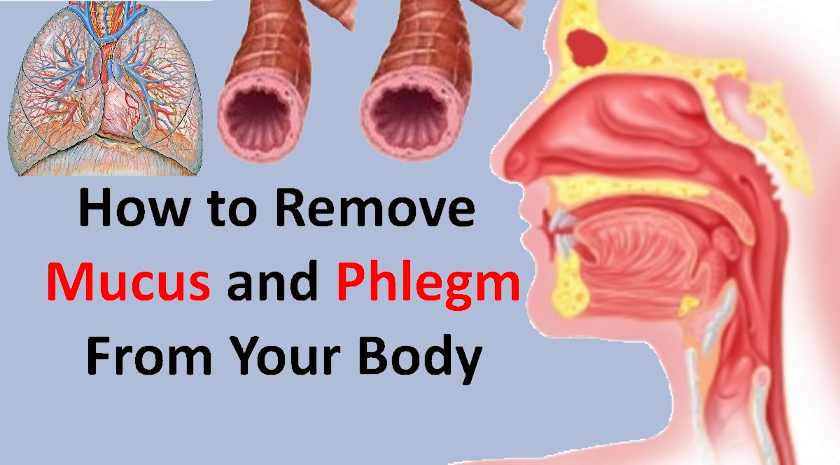 10 Phlegm Causes Bad Breath Solutions