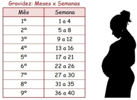 10 Semanas São Quantos Meses Explicado