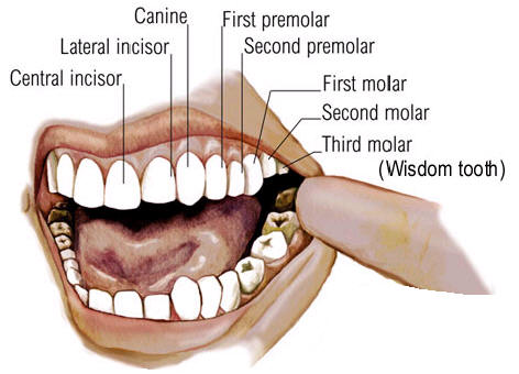 12+ Aspen Dental Hazlet Secrets For Affordable Care