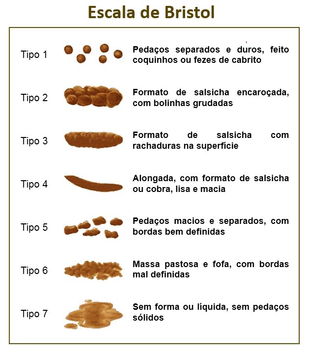 12 Fotos De Fezes Com Sangue Diagnósticos Precisos