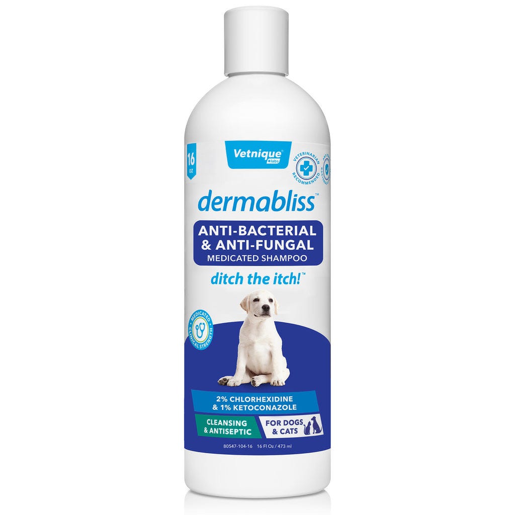 12+ Lice Fighting Tips Using Dog Shampoo Safely