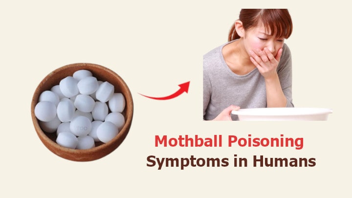 7 Mothball Taste Remedies That Work Fast