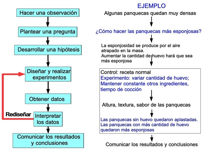8 Método Informado Previo Ejemplos Para Mejor Decisión