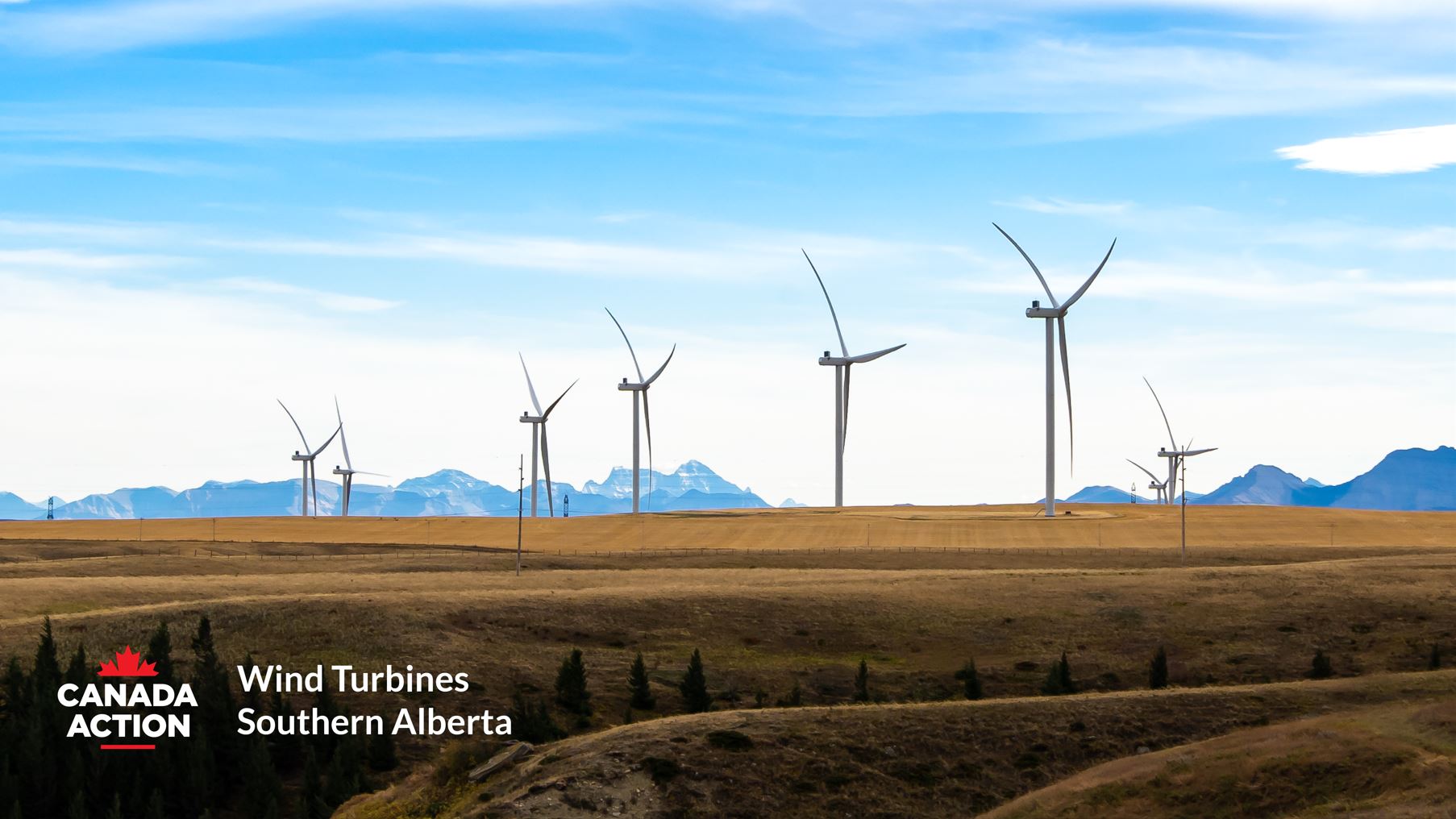 Alberta Department Of Energy