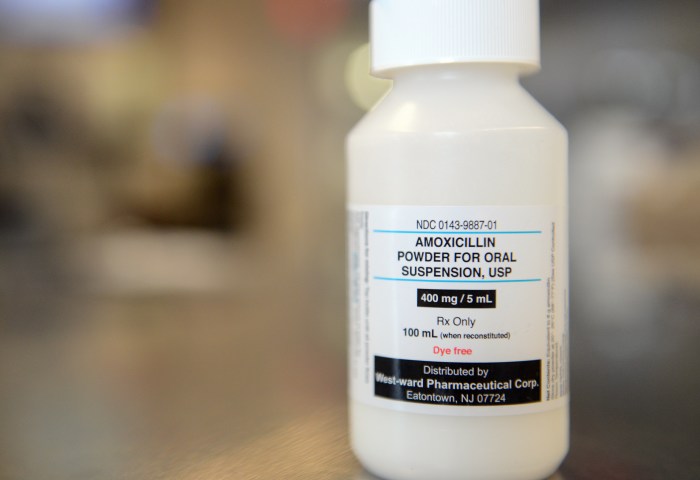 Amoxicillin Trimox Generic Antibiotics For Dogs Cats Amoxicillin Trimox Generic Antibiotics For Dogs Cats