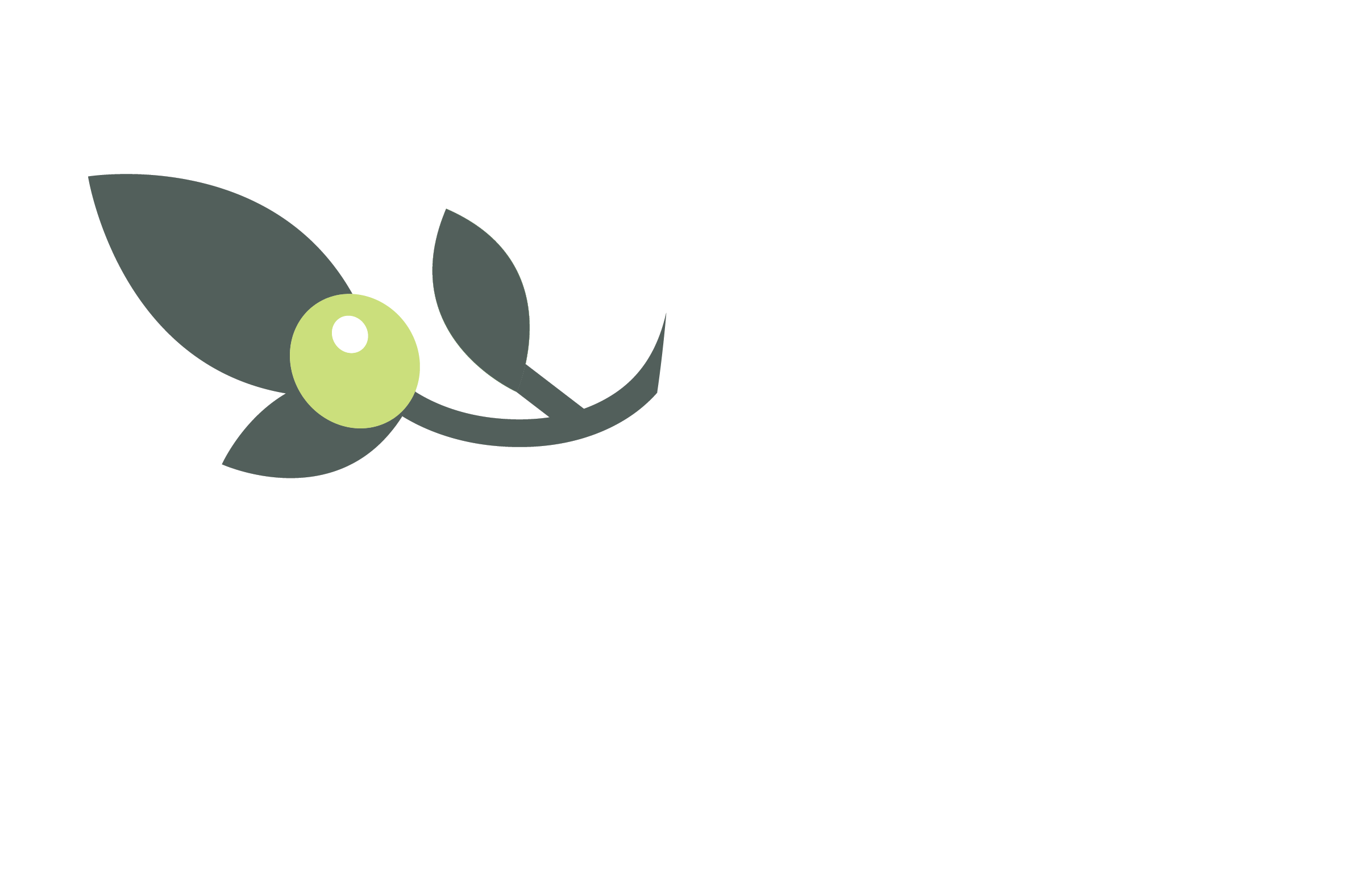 Aspen Dental Olive Branch: Expert Care Guide