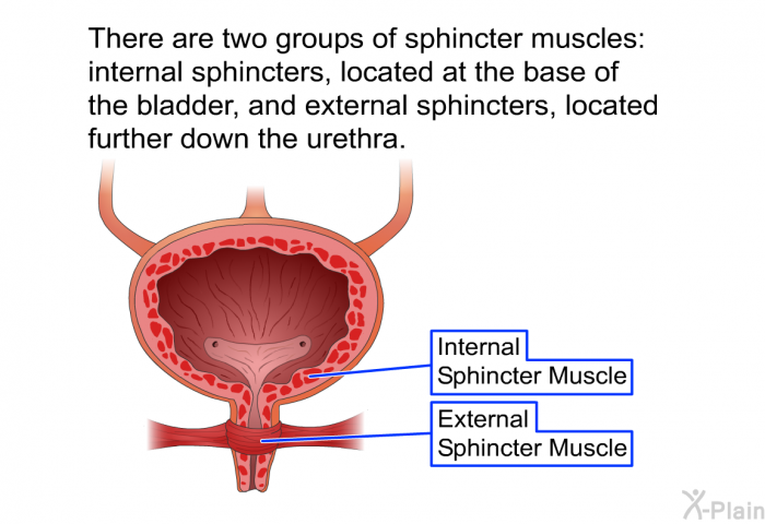 Bladder Sling Recovery: Fast Track Your Healing