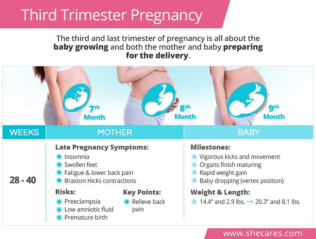 Bronchitis During Pregnancy Third Trimester