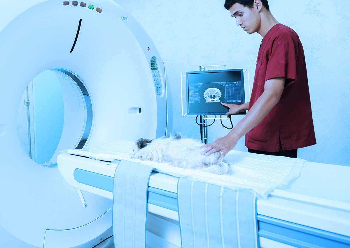 Cedars Imaging Expertise: Accurate Results Guaranteed Cedars Imaging Expertise: Accurate Results Guaranteed