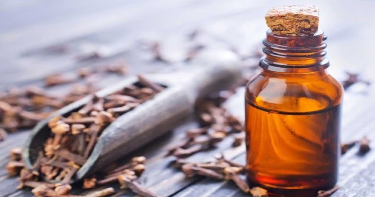 Clove Oil And Dry Socket