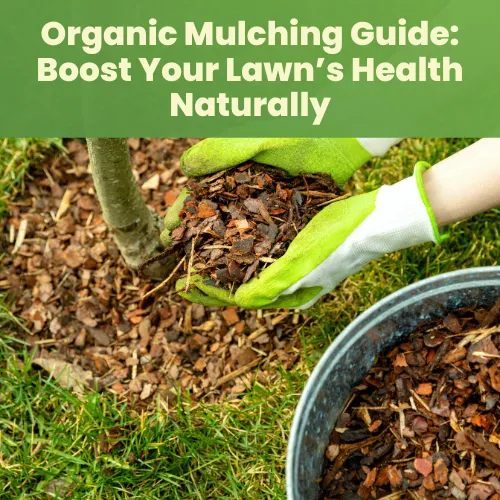 Cranberry Guide: Boost Health Naturally