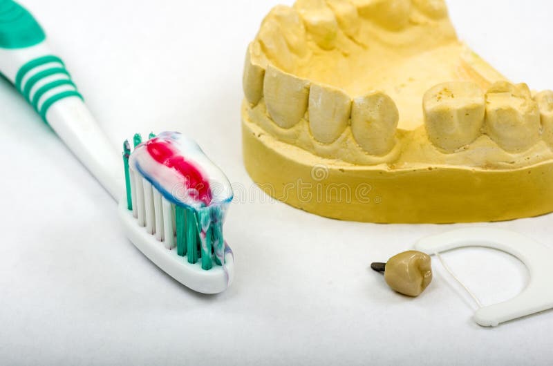 Dental Impression For Crown