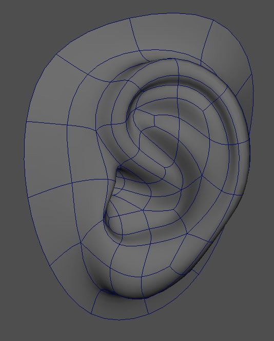 Ear 3D Model