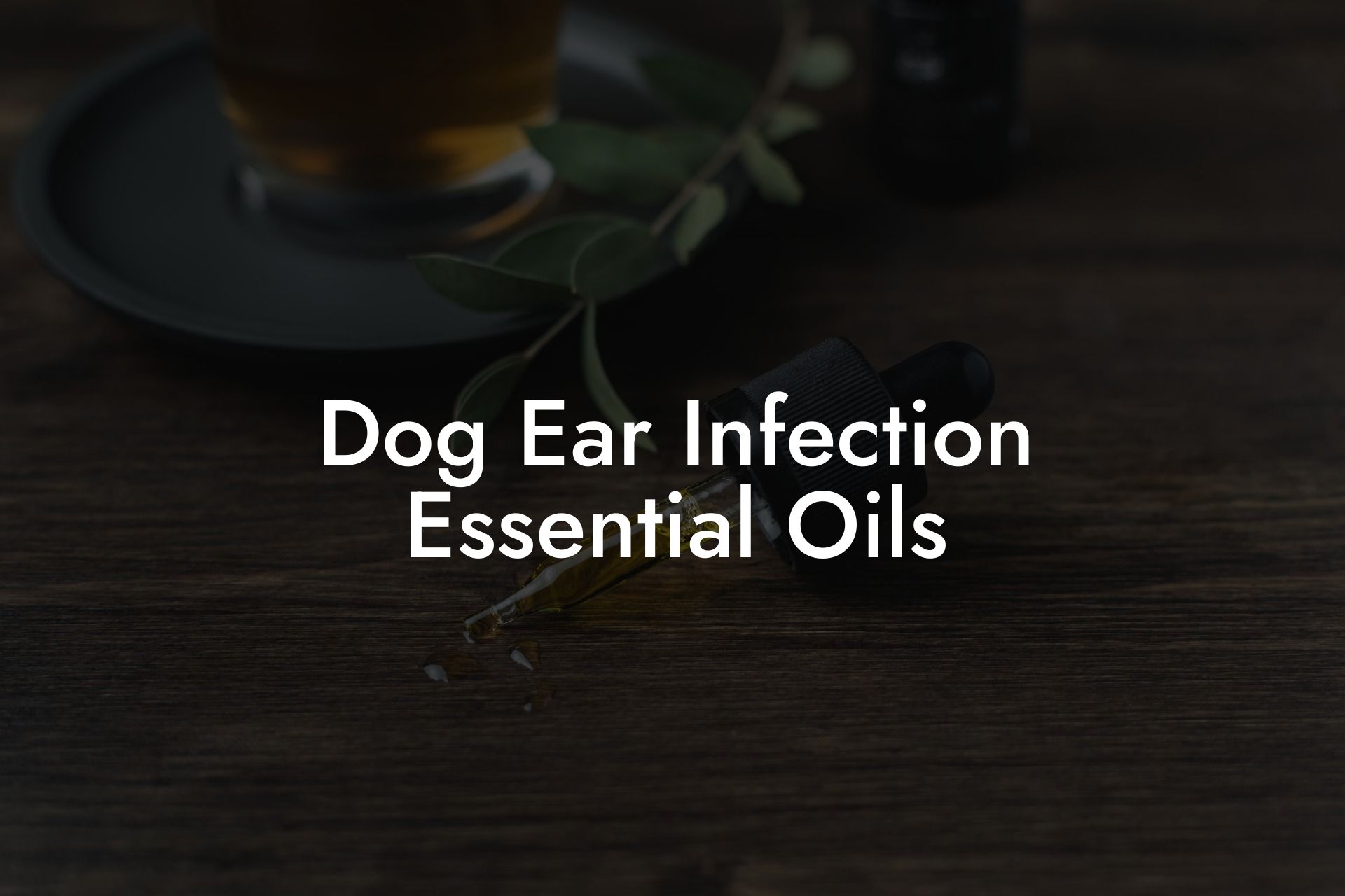 Ear Infection Essential Oils