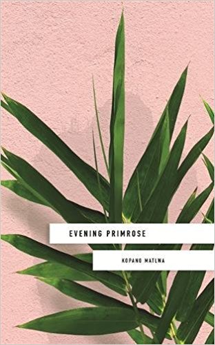 Evening Primrose Period Pain