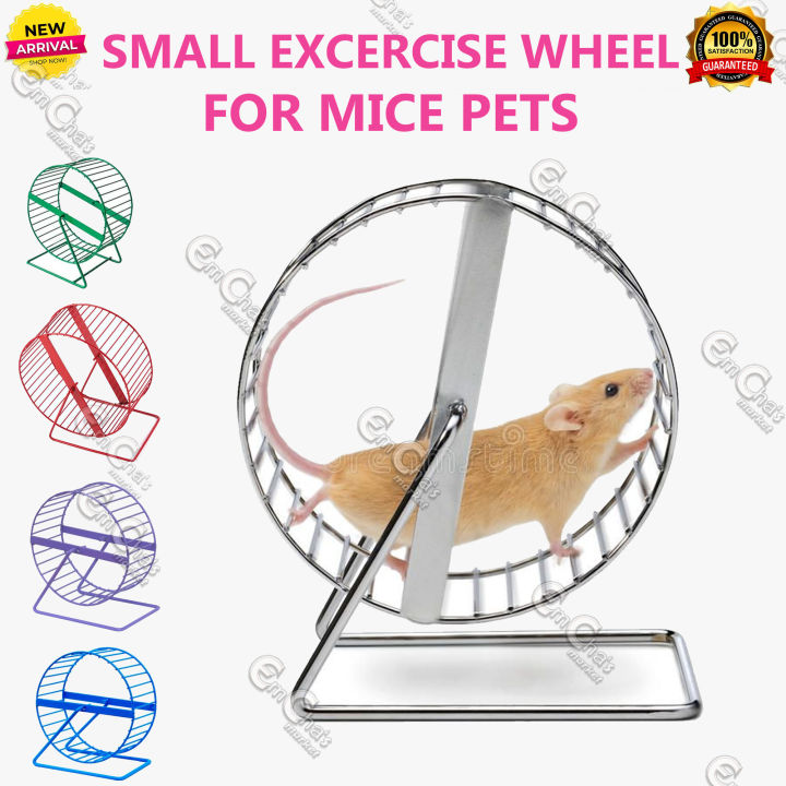 Exercise For Back Mice