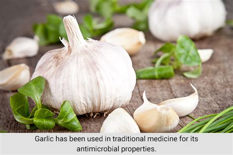 Garlic Tooth Decay