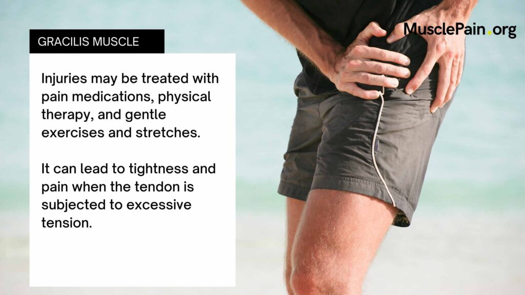 Gracilis Muscle Pain: Effective Treatment Solutions Gracilis Muscle Pain: Effective Treatment Solutions