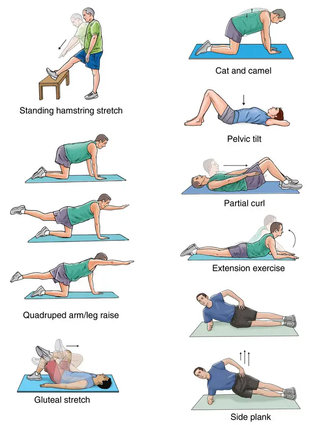 Gym Ball Lower Back Exercises: Relieve Pain Quickly