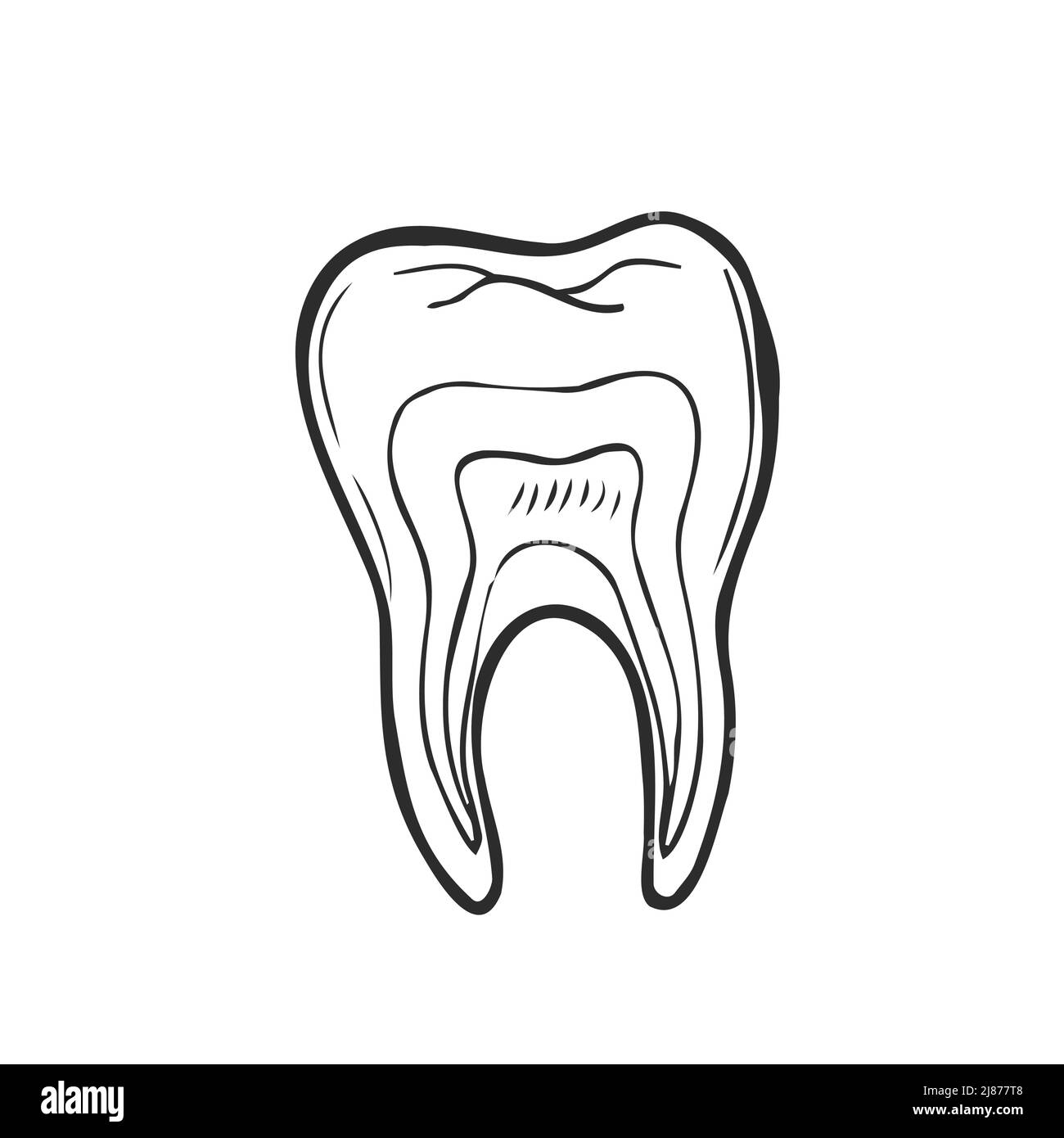 Hand Drawn Black Lines Sketch Molar Tooth Doodle Drawing Object Hand Drawn Black Lines Sketch Molar Tooth Doodle Drawing Object