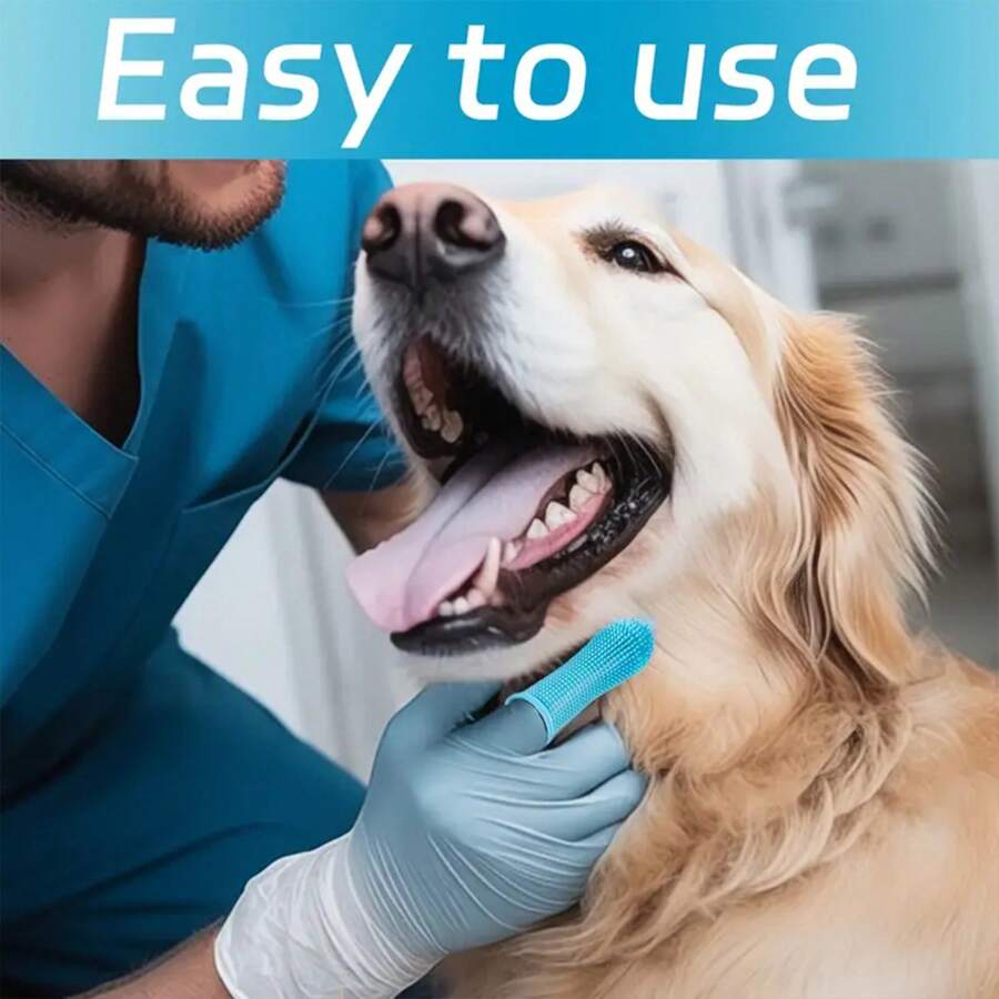 Hard Bristle Toothbrush: Removes Tough Plaque Easily