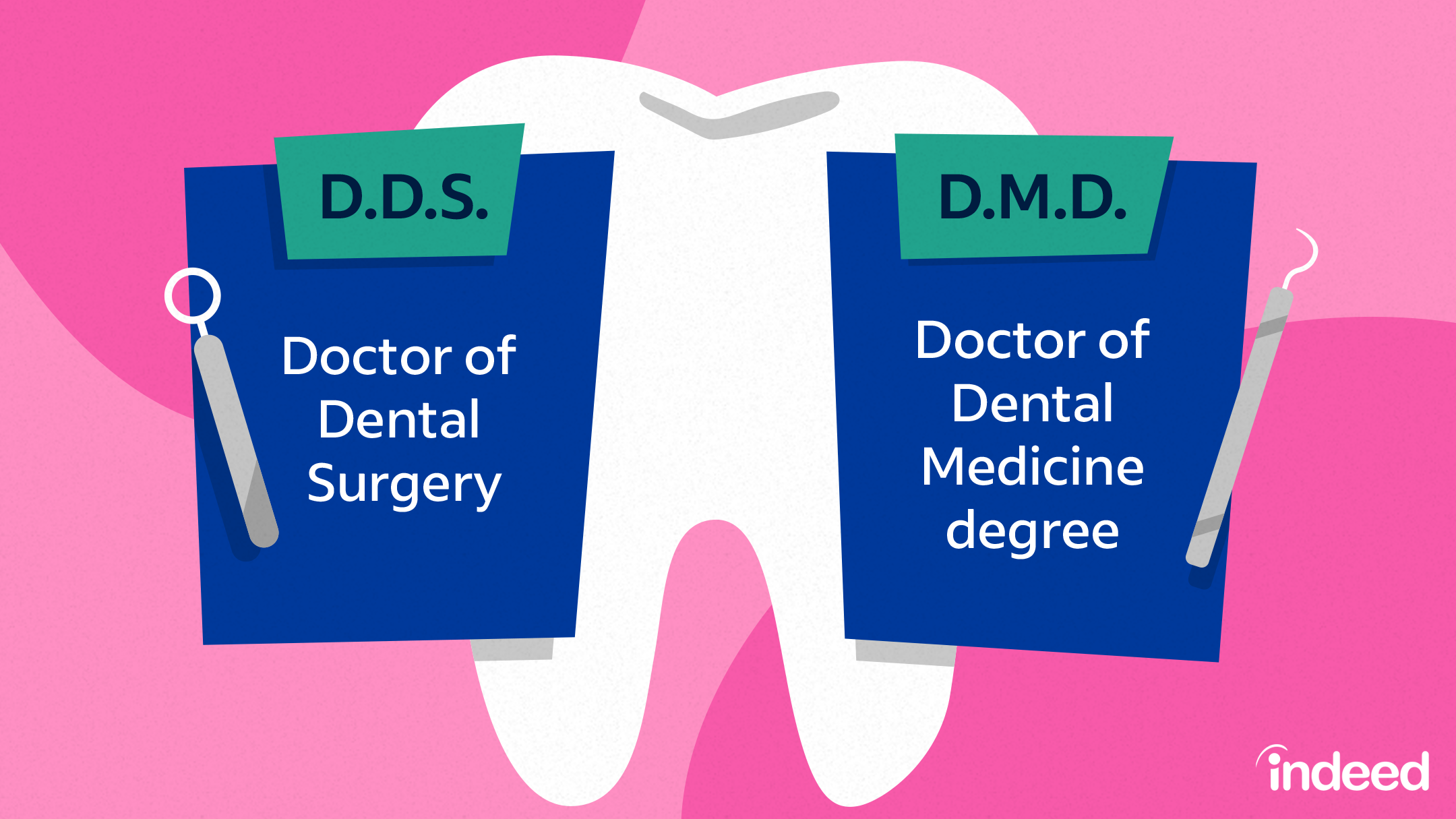 How Choose Dds Or Dmd? Expert Advice