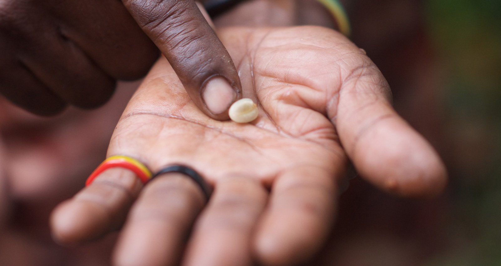 How Does Te Jamaica Help? Natural Remedies