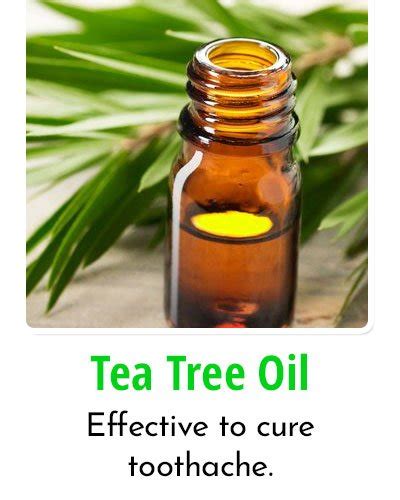 How Does Tea Tree Oil Help Toothache? Fast Remedies Found