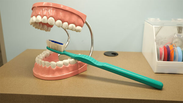 How Often Should I Brush Teeth After Eating? Daily Tips