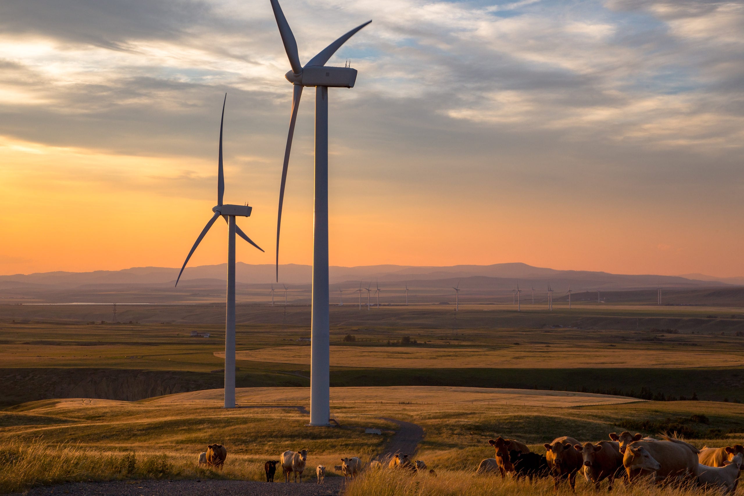 How To Invest In Alberta Canada's Energy Sector?