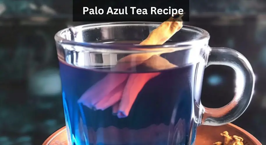 How To Make Agua De Palo Azul? Easy Recipe Inside