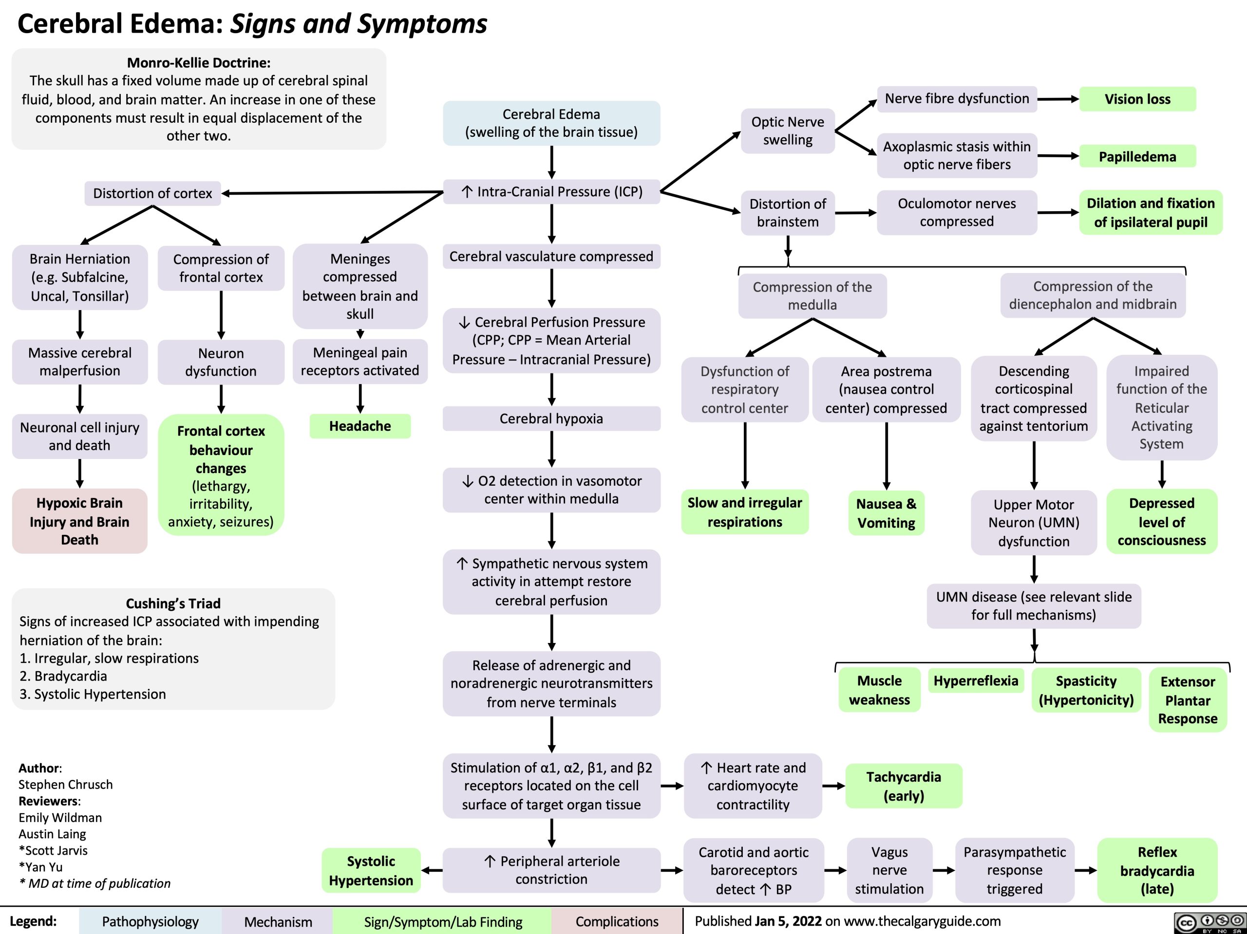How To Manage Diffuse Cerebral Dysfunction? Symptoms Guide