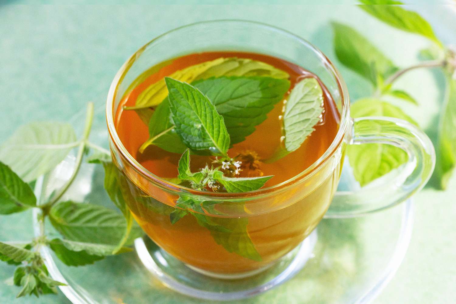How To Prevent Peppermint Tea Stains?