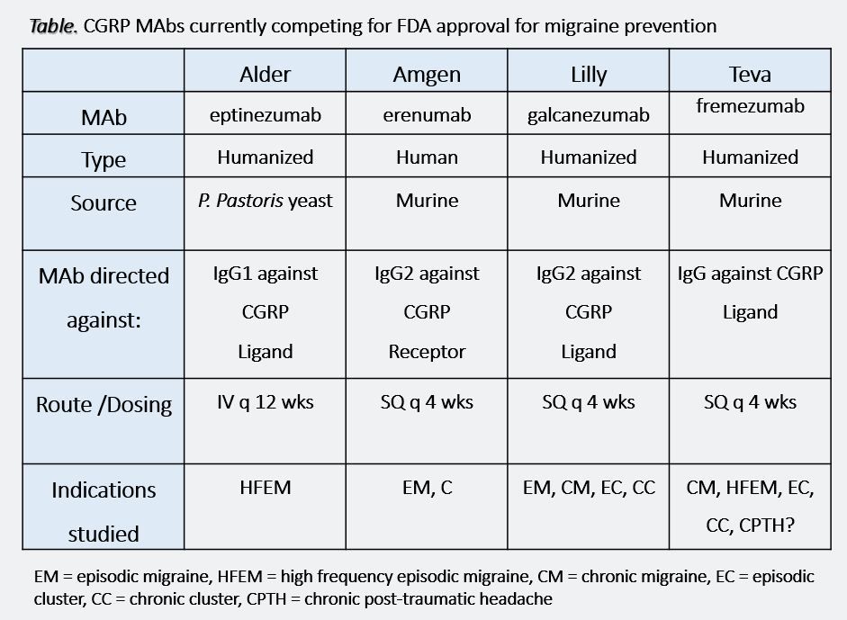 Hsv Igm Antibodies Explained