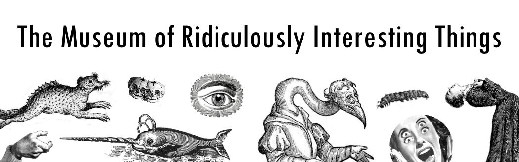 Interesting Things About Teeth