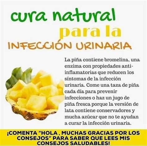 Jugo Para Infeccion Urinaria