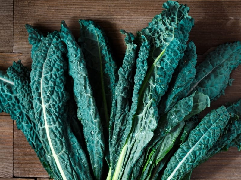 Kale Vs Spinach Taste Kale Vs Spinach Taste