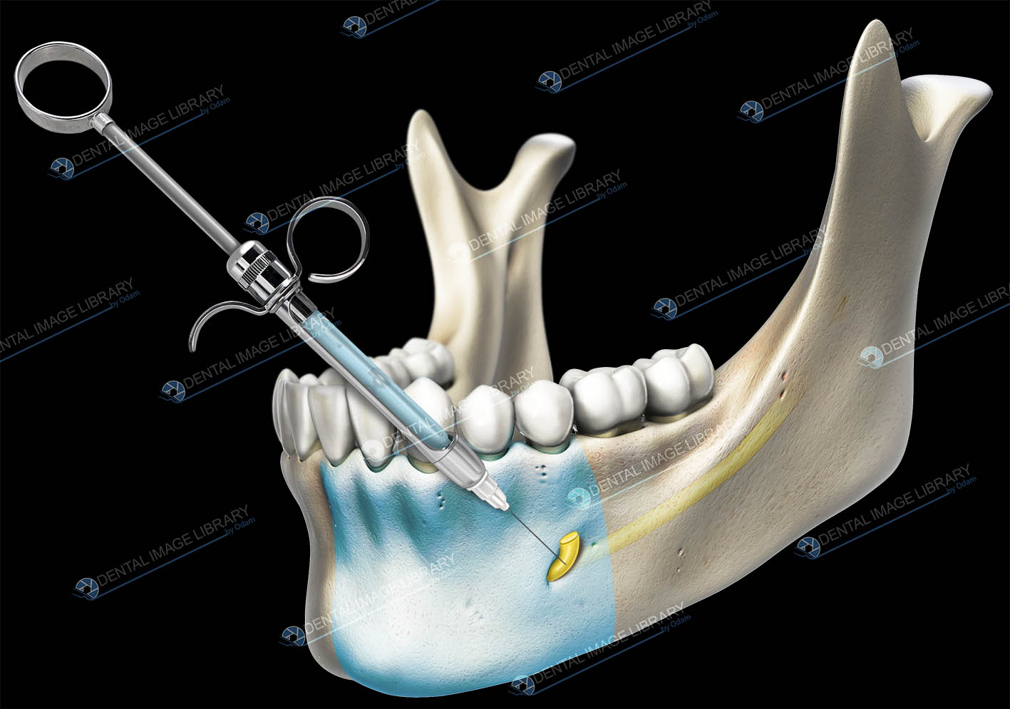 Mental Block Dental