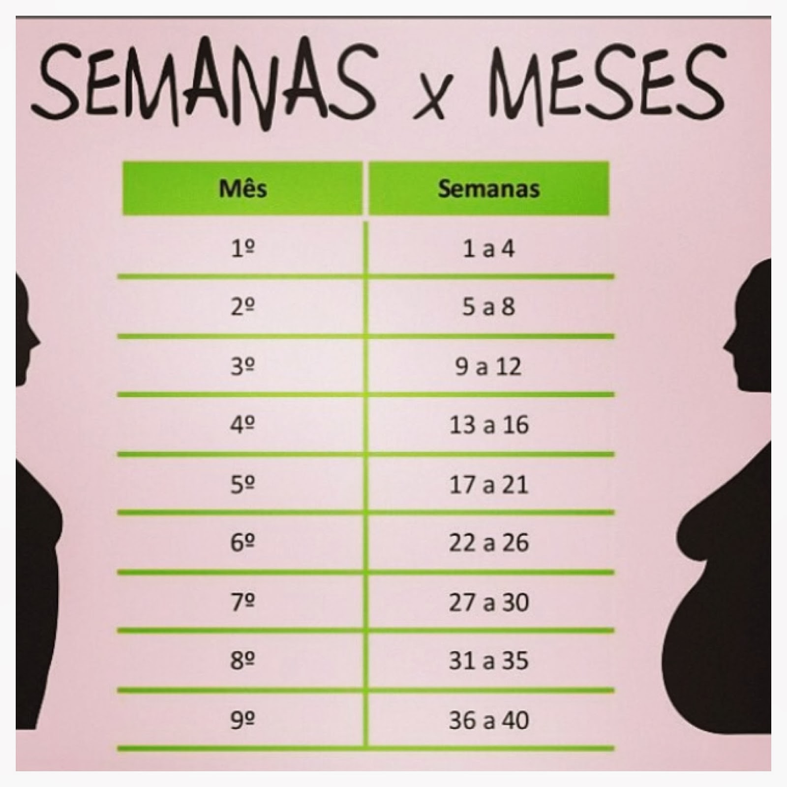 Meses E Semanas Da Gravidez