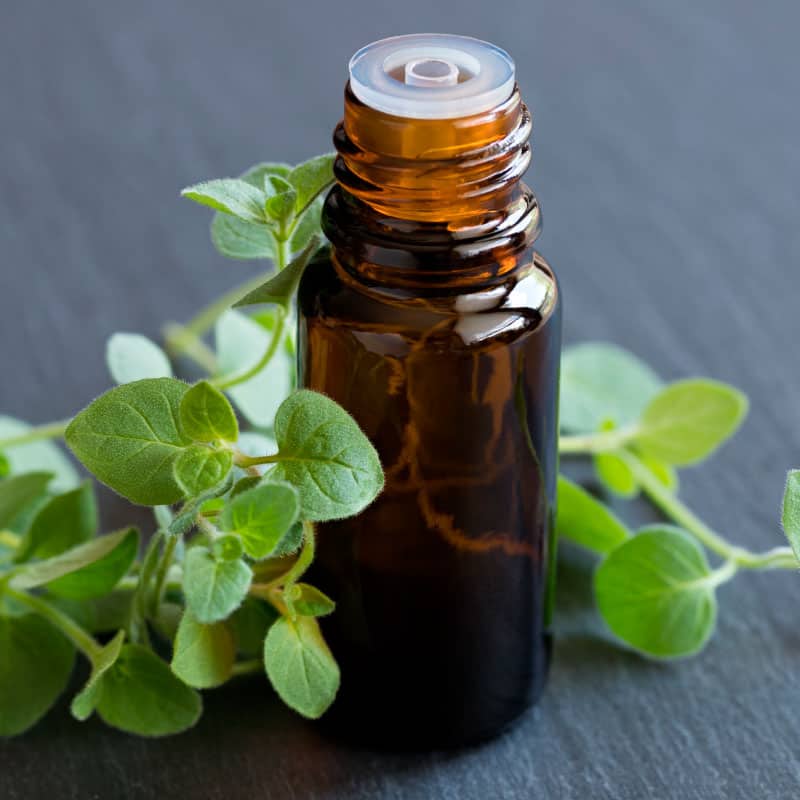 Oregano Oil: Relieves Bronchitis Symptoms Oregano Oil: Relieves Bronchitis Symptoms