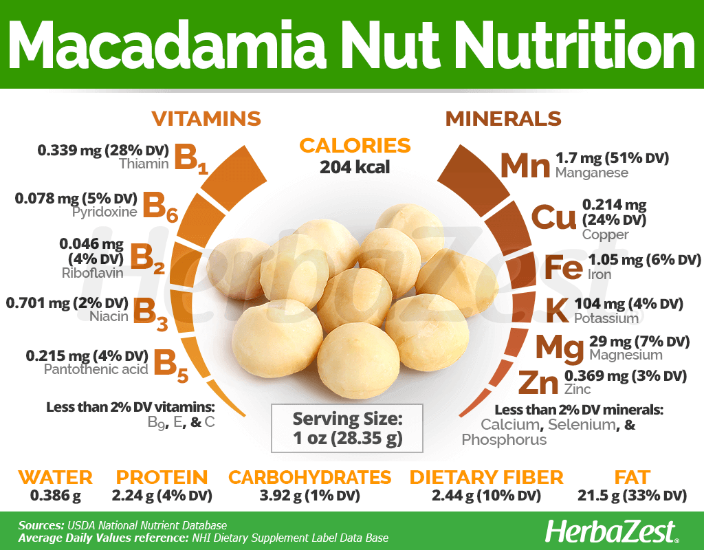 Para Que Sirve La Macadamia