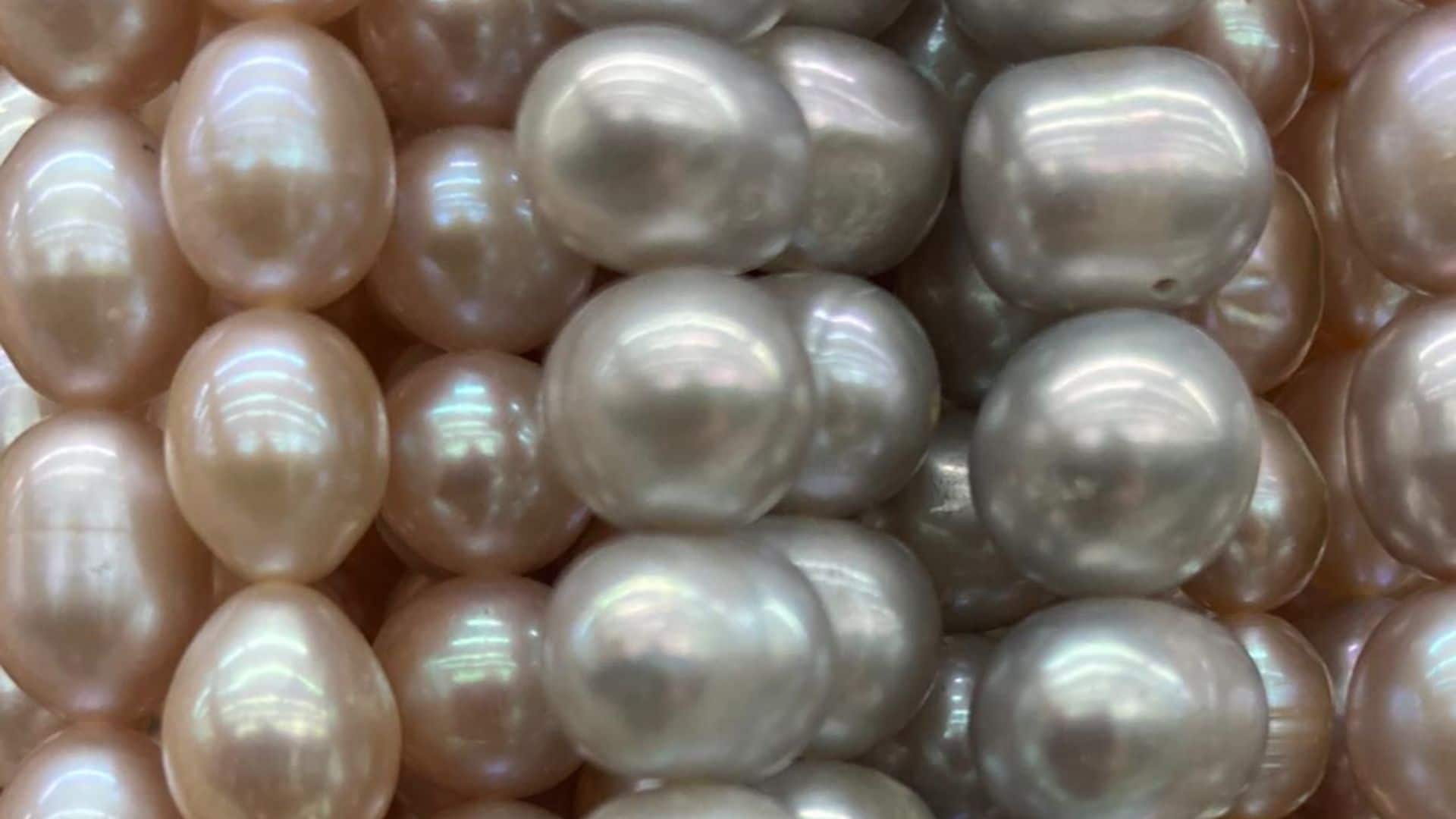 Perlas En El Glande Fotos